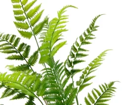 I.GE.A . Kunstpflanze Waldfarn im Topf, ca. H90 cm Discount