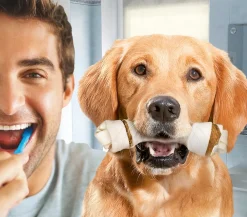 8in1 Hundenack Deight Denta Kauknochen New