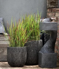 Dehner Japanisches Blutgras 'Red Baron'