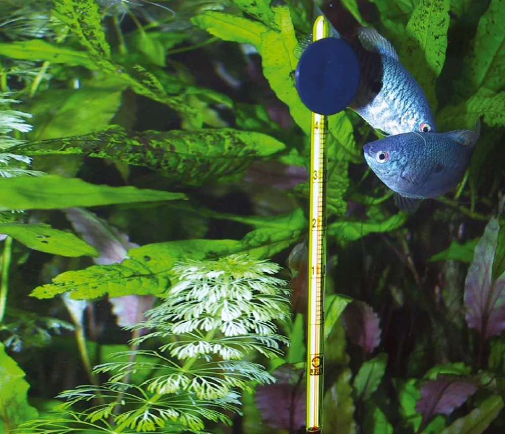 JBL Mehr Aquarium Zubehör > Aquarium Thermometer Slim