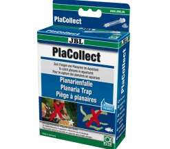 JBL Mehr Aquarium Zubehör > PlaCollect Planarienfalle