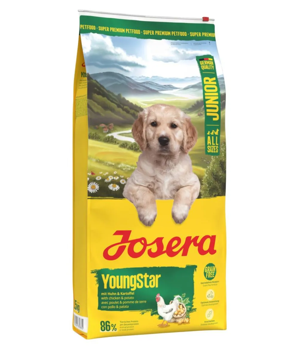 Josera Trockenfutter Hund - Trockenfutter für Hunde Mother & Puppy, Lachs & Reis