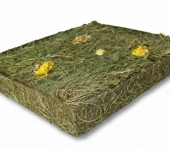JR FARM Nahrungsergänzung Kleintiere > Ergänzungsfutter Ein Stück Natur Kräuterwiese mit Löwenzahn