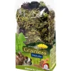 JR FARM Nahrungsergänzung Kleintiere - Ergänzungsfutter Grainless Snack plus Kümmel & Löwenzahn, 100 g