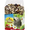 JR FARM Vogelfutter Individual Graupapagei, 950 g Online