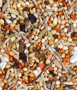 JR FARM Vogelfutter & Snacks - Vogelfutter Individual Nymphensittich, 1 kg
