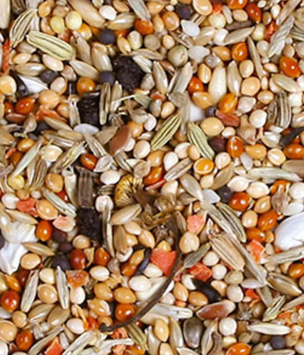 JR FARM Vogelfutter & Snacks - Vogelfutter Individual Nymphensittich, 1 kg