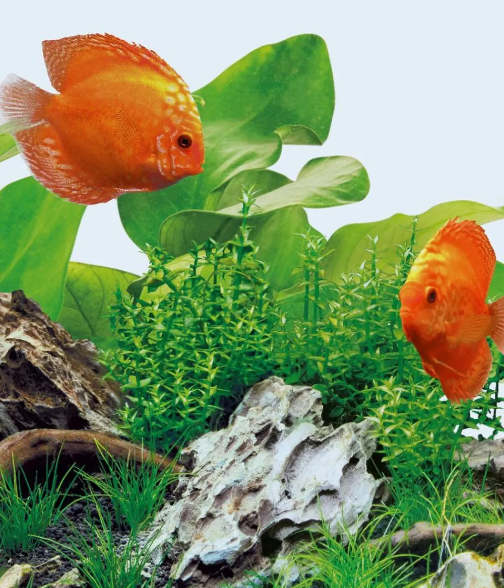 JUWEL® AQUARIUM Beleuchtung > Aquariumbeleuchtung Leuchte LED Day