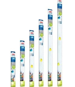 JUWEL® AQUARIUM Aquariumbeleuchtung LED Marine Clearance