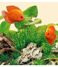 JUWEL® AQUARIUM Beleuchtung - Aquariumbeleuchtung Netzteil HeliaLux Spectrum 1200 - 1500