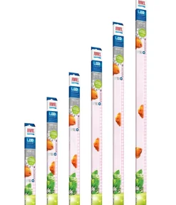 JUWEL® AQUARIUM Beleuchtung - Aquariumbeleuchtung LED Colour
