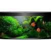 JUWEL® AQUARIUM Beleuchtung - Aquariumbeleuchtung Fassungsringe HiLite T5 16 mm, 2er-Set