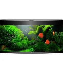 JUWEL® AQUARIUM Beleuchtung - Aquariumbeleuchtung NovoLux LED 80, weiss