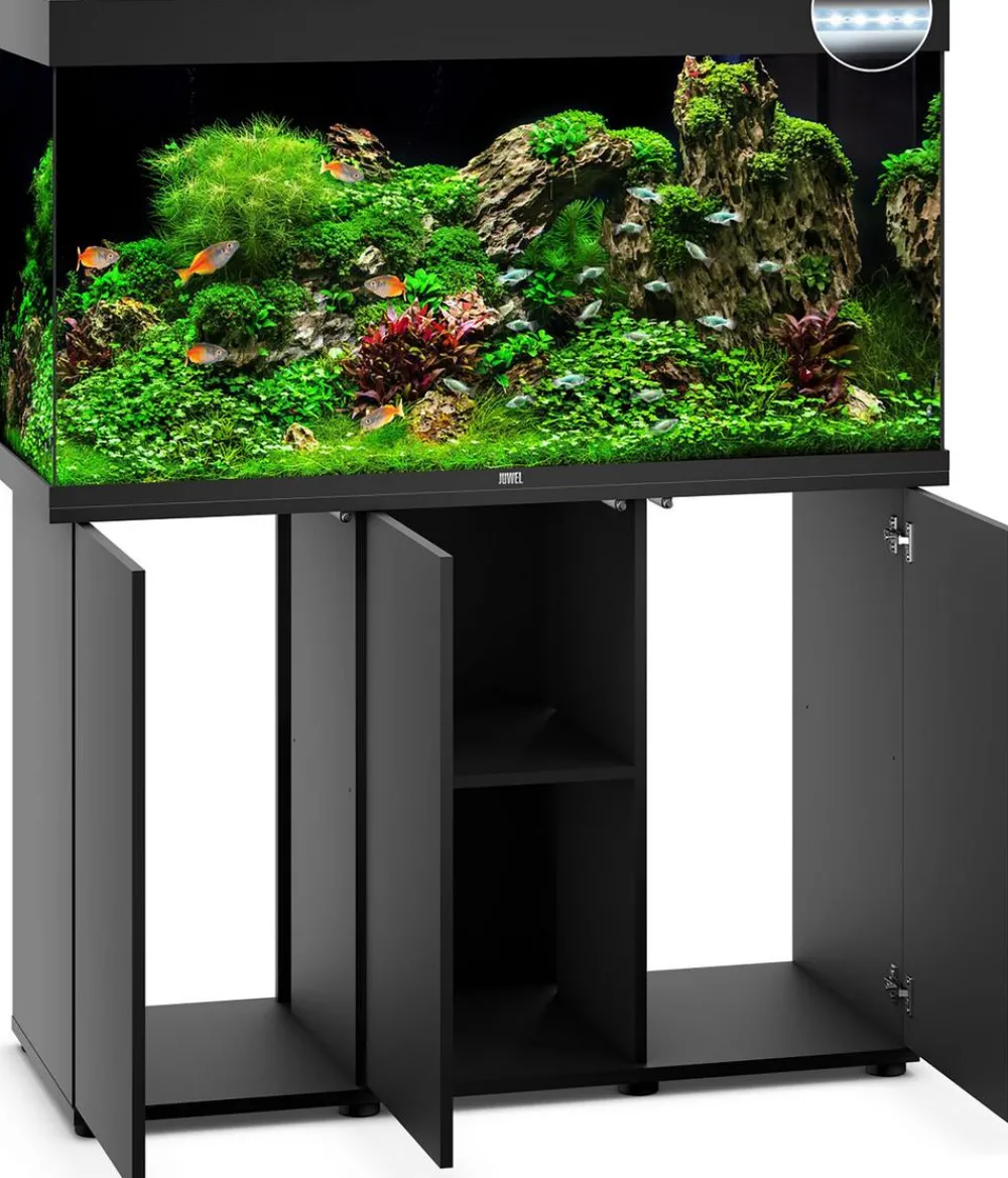 JUWEL® AQUARIUM Kombination Rio 350 LED Schwarz Online