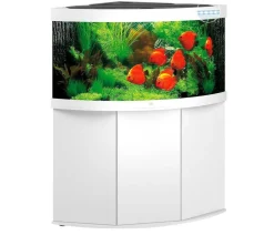 JUWEL® AQUARIUM Aquarium Komplettsets > Kombination Trigon 350 LED