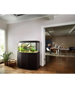 JUWEL® AQUARIUM Aquarium Komplettsets > Kombination Vision 260 LED