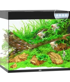 JUWEL® AQUARIUM Lido 200 LED Schwarz Online
