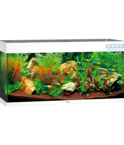 JUWEL® AQUARIUM Einzel Aquarien > Rio 180 LED