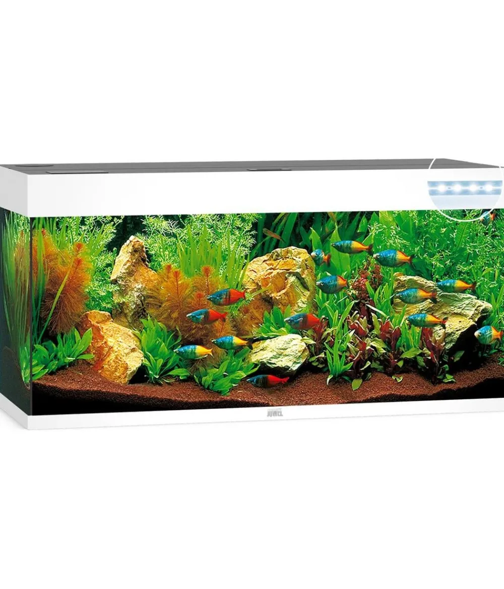 JUWEL® AQUARIUM Einzel Aquarien > Rio 240 LED