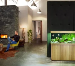 JUWEL® AQUARIUM Einzel Aquarien - Rio 240 LED Hellbraun