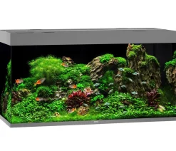 JUWEL® AQUARIUM Rio 350 LED Grau
