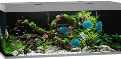JUWEL® AQUARIUM Einzel Aquarien - Rio 450 LED Grau