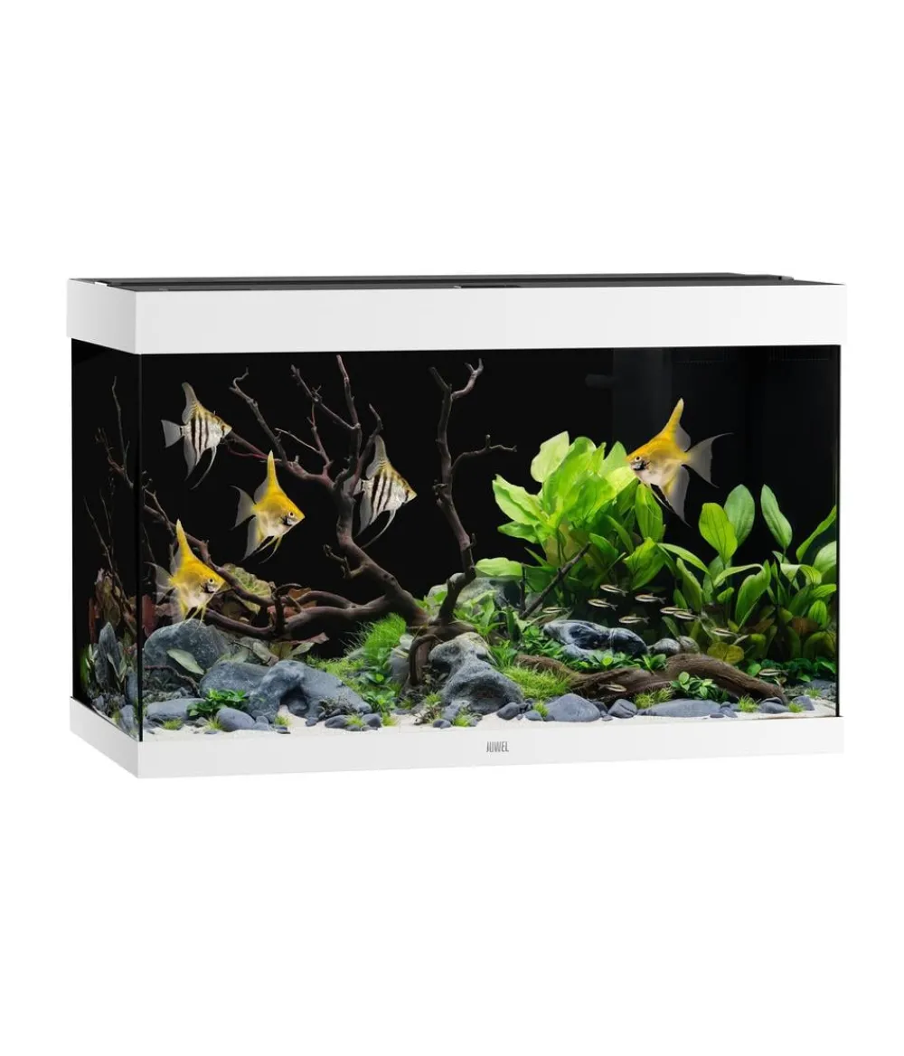 JUWEL® AQUARIUM Einzel Aquarien > Rio 290 LED, 290 l