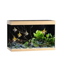 JUWEL® AQUARIUM Rio 290 LED, 290 l Hellbraun Discount