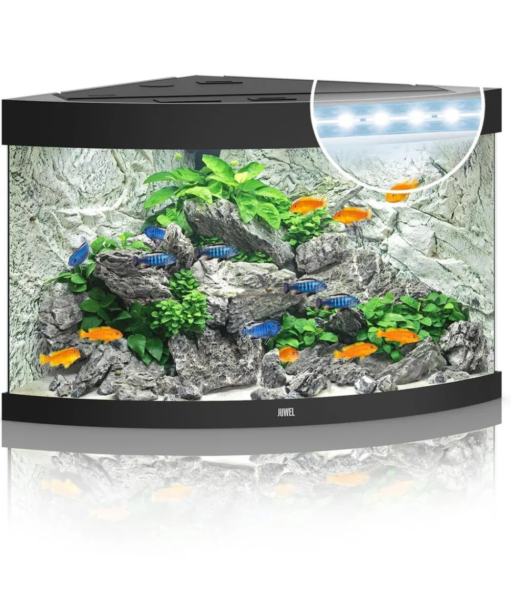 JUWEL® AQUARIUM Einzel Aquarien > Trigon 190 LED