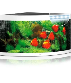 JUWEL® AQUARIUM Einzel Aquarien > Trigon 350 LED