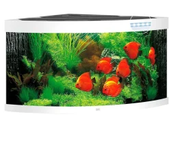 JUWEL® AQUARIUM Einzel Aquarien > Trigon 350 LED