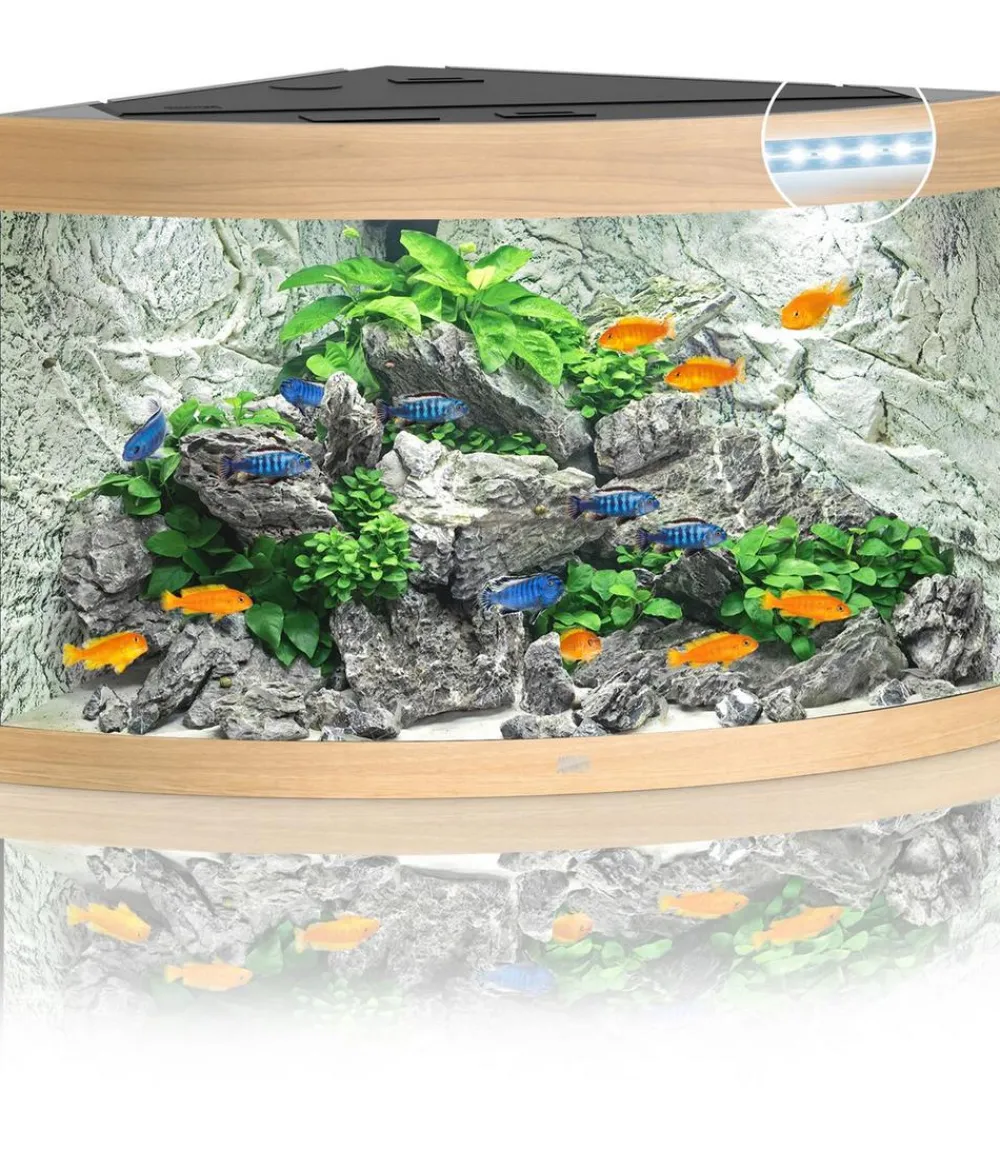 JUWEL® AQUARIUM Trigon 190 LED Hellbraun Sale