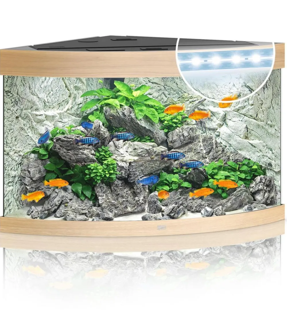 JUWEL® AQUARIUM Trigon 190 LED Hellbraun Sale
