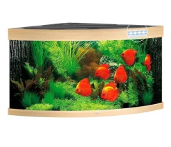 JUWEL® AQUARIUM Einzel Aquarien - Trigon 350 LED Hellbraun