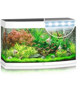 JUWEL® AQUARIUM Einzel Aquarien > Vision 180 LED