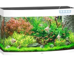 JUWEL® AQUARIUM Einzel Aquarien > Vision 180 LED
