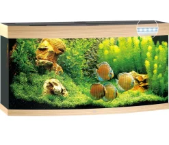 JUWEL® AQUARIUM Vision 260 LED Hellbraun