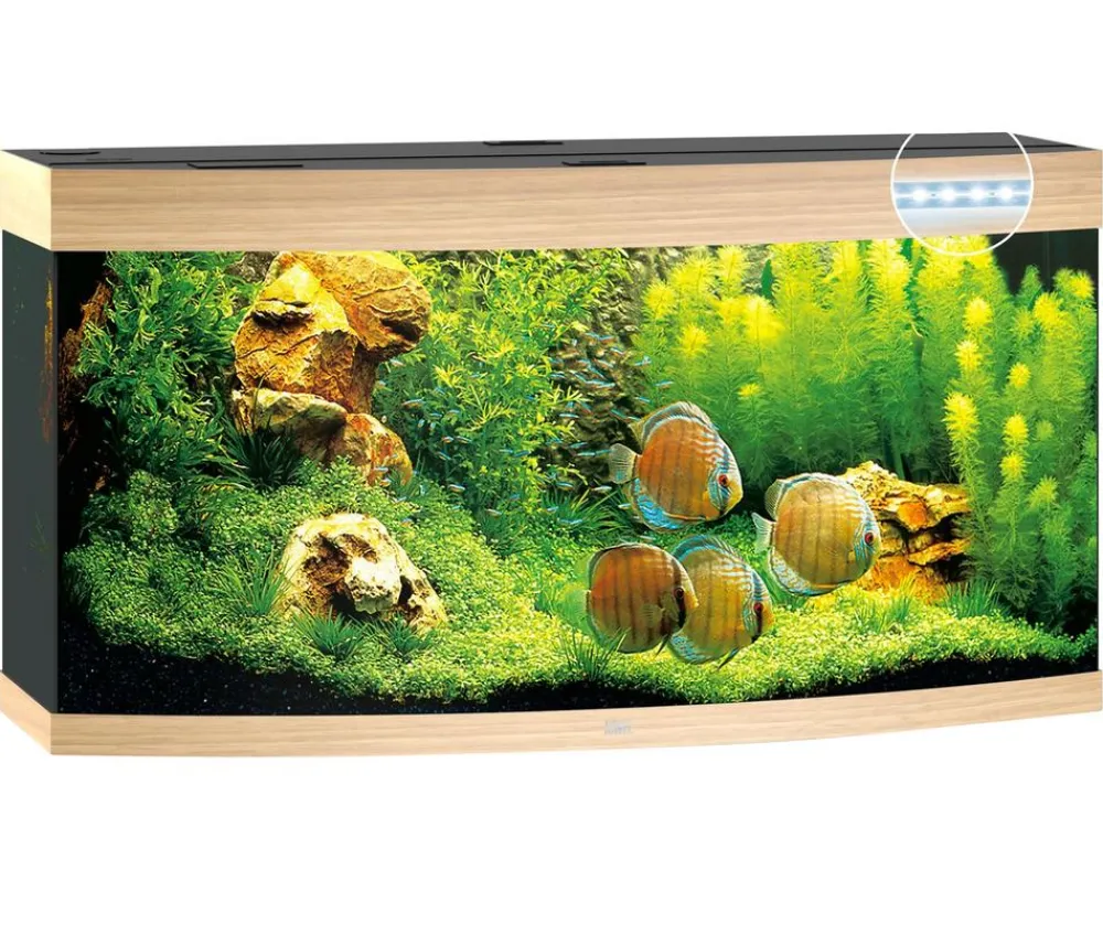 JUWEL® AQUARIUM Vision 260 LED Hellbraun