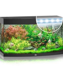 JUWEL® AQUARIUM Vision 180 LED Schwarz Outlet