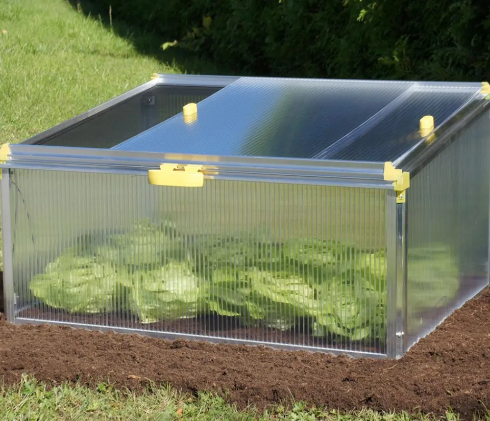 Juwel Frühbeet Biostar Protect 1000, ca. B100/H52/T76 cm Transparent Online