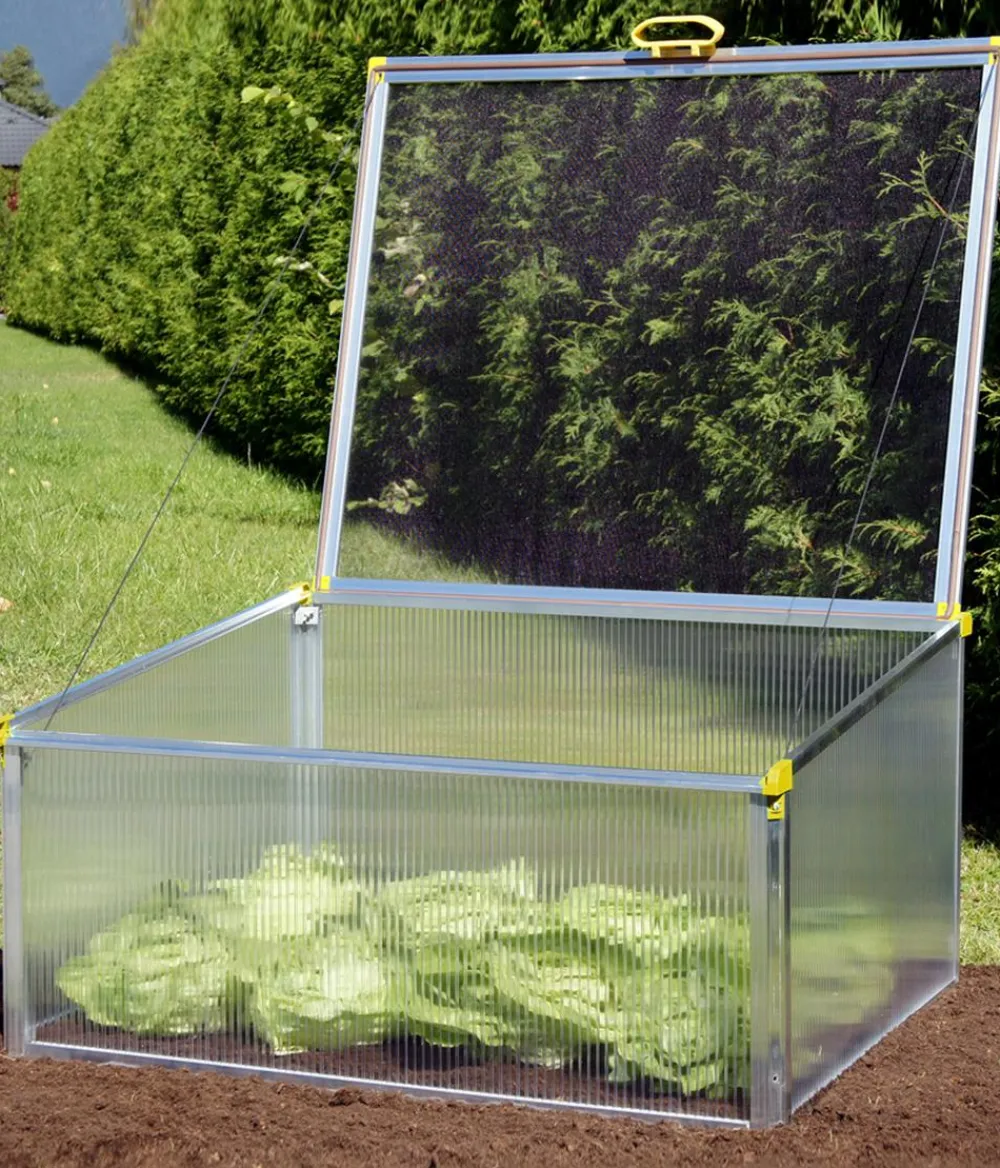 Juwel Frühbeet Biostar Protect 1000, ca. B100/H52/T76 cm Transparent Online