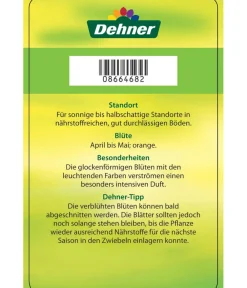 Dehner Kaiserkrone Orange Outlet