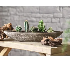 Dehner Kakteen-Set - Cactaceae, verschiedene Sorten Best