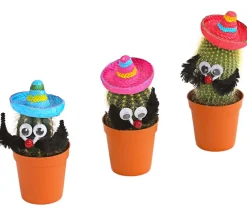Dehner Kaktus mit Sombrero - Cactaceae, verschiedene Sorten