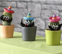 Dehner Kaktus mit Sombrero - Cactaceae, verschiedene Sorten