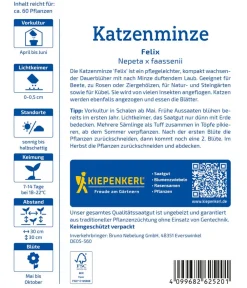 Nebelung/Kiepenkerl Blumensamen > Katzenminze Felix, Saatgut von Kiepenkerl