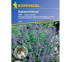 Nebelung/Kiepenkerl Blumensamen > Katzenminze Felix, Saatgut von Kiepenkerl