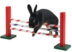 Kerbl Nagerspielzeug > Agility Nagerspielzeug Steilsprung, ca. B70/H35/T5 cm