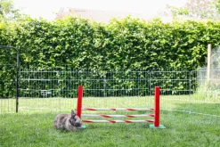 Kerbl Nagerspielzeug > Agility Nagerspielzeug Steilsprung, ca. B70/H35/T5 cm