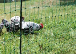 Kerbl Mehr Hühnerzubehör|Bauernhof Zubehör > Geflügelnetz PoultryNet Doppelspitze, elektrifizierbar